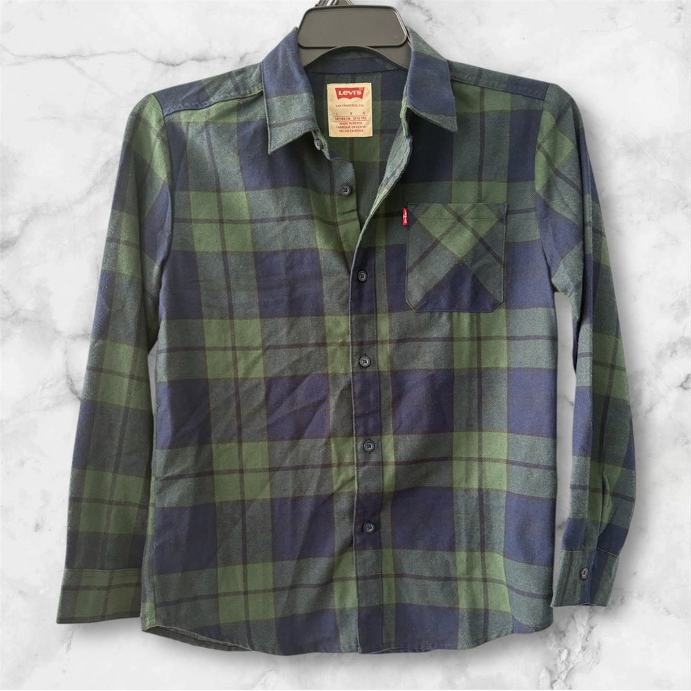 Levi's Green and Blue Casual Button Down Shirt